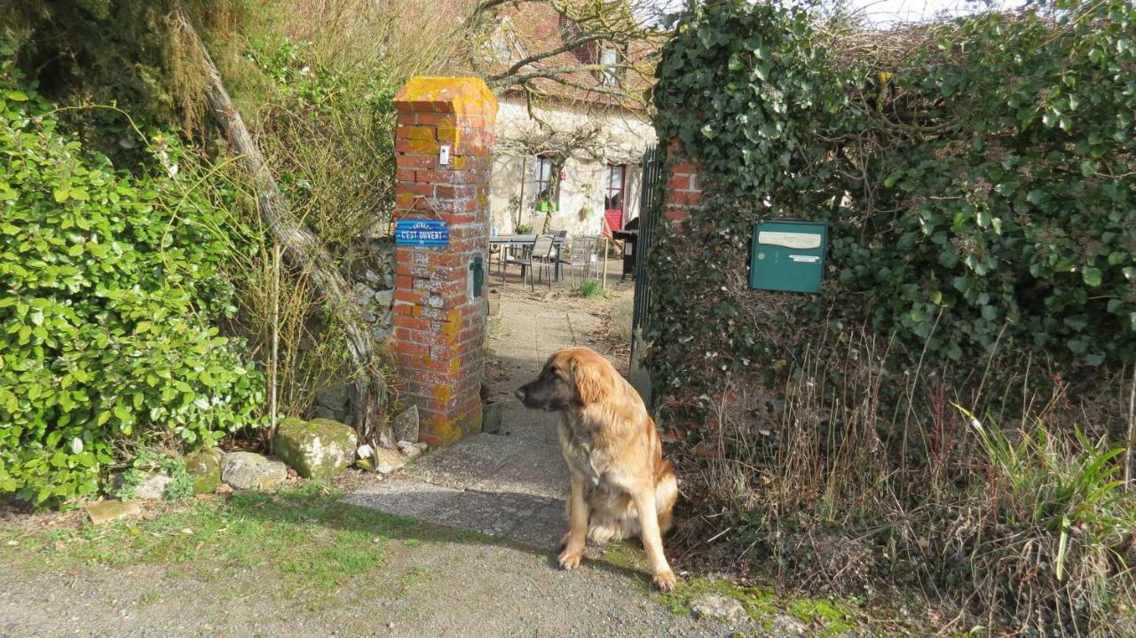 Dolus-le-Sec La Fosse Seche Bed & Breakfast エクステリア 写真