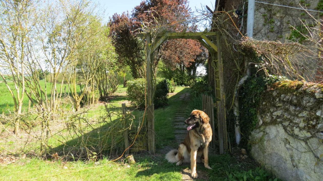 Dolus-le-Sec La Fosse Seche Bed & Breakfast エクステリア 写真